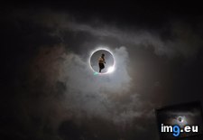 Tags: eclipse, funny, morning, solar, watch (Pict. in My r/FUNNY favs)