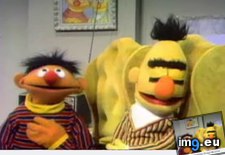 Tags: bertstrips, bitstrips, facebook, funny, give, sick, you (Pict. in My r/FUNNY favs)