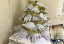 Tags: christmas, funny, house, poor, student (Pict. in My r/FUNNY favs)