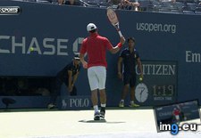 Tags: funny, player, takes, tennis (GIF in My r/FUNNY favs)