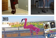 Tags: flamingo, funny, hands, lemons, life, you (Pict. in My r/FUNNY favs)