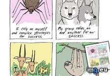 Tags: animal, funny, inspired, story, success (Pict. in My r/FUNNY favs)
