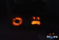 Tags: afraid, carved, funny, pumpkins, she, spider, spiders, wife (Pict. in My r/FUNNY favs)