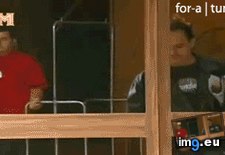 Tags: cleaners, funny, guy, hate, window (GIF in My r/FUNNY favs)