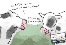 Tags: cow, disease, funny, hear, mad, you (Pict. in My r/FUNNY favs)