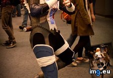 Tags: costume, gaming, sheik, zelda (Pict. in My r/GAMING favs)