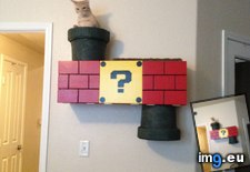 Tags: built, cat, climber, gaming, mario, nintendo, super, themed (Pict. in My r/GAMING favs)