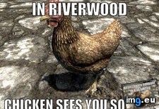 Tags: chicken, damn, gaming, mouth, shut (Pict. in My r/GAMING favs)