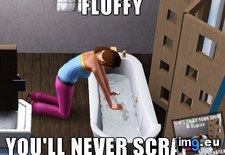 Tags: drowning, gaming, light, pet, shitfest, sims, simulator, total (Pict. in My r/GAMING favs)