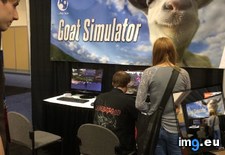 Tags: experience, gaming, majestic, market, played, single, ungulate (Pict. in My r/GAMING favs)