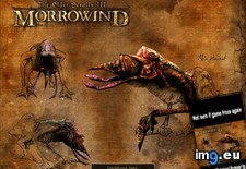 Tags: gaming, life, morrowind, playing, xbox (Pict. in My r/GAMING favs)