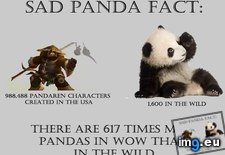 Tags: gaming, panda (Pict. in My r/GAMING favs)