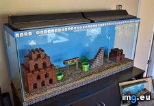 Tags: fish, gaming, mario, super, tank (Pict. in My r/GAMING favs)