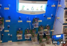 Tags: christmas, eve, gaming, luigi, popular, target (Pict. in My r/GAMING favs)