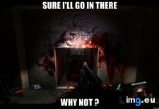Tags: fear, gaming, not, why (Pict. in My r/GAMING favs)