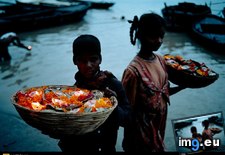 Tags: flowers, ganges (Pict. in National Geographic Photo Of The Day 2001-2009)