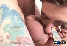 Tags: balls, cocksucker, cute, gay, gayboy, gaygif, gayoral, gayteen, gif, licking, lips, pussyboy, scrotum, sucking, twink, twinkgif (GIF in Gay Porn)