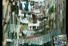 Tags: genoa, laundry, lines, overhung, street (Pict. in Branson DeCou Stock Images)