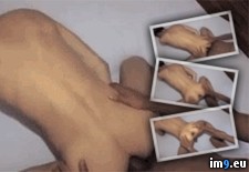 Tags: anal, ass, asshole, destroyed, gape, gaped, gaping, gay, gif, gifs, hole, ruined, wide (GIF in Gay Gape)