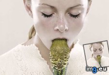Tags: art, eating, girl, parrot, photo (Pict. in Rehost)