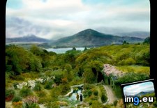 Tags: garden, glengarriff, hotel, loaf, mountain, roche, royal, sugar (Pict. in Branson DeCou Stock Images)