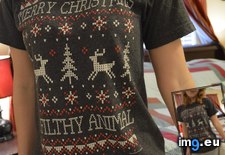 Tags: animals, christmas, merry (Pict. in My r/GONEWILD favs)