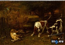 Tags: gustave, courbet, hunting, dogs, dead, hare, art, europe, european, metropolitan, museum, painting, paintings (Pict. in Metropolitan Museum Of Art - European Paintings)