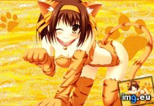 Tags: anime, haruhi, neko (Pict. in Anime wallpapers and pics)