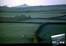Tags: hedgerow, landscape (Pict. in National Geographic Photo Of The Day 2001-2009)