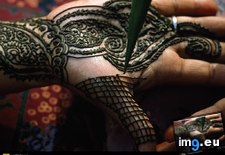 Tags: hand, henna (Pict. in National Geographic Photo Of The Day 2001-2009)