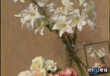 Tags: henri, fantin, latour, roses, lilies, art, europe, european, metropolitan, museum, painting, paintings (Pict. in Metropolitan Museum Of Art - European Paintings)