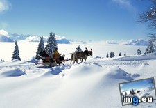Tags: alamy, horse, sleigh, switzerland (Pict. in December 2012 HD Wallpapers)