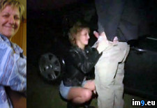 Housewife by day and streetwhore by night - 99 KB Tags: (Pict. in Before and after, dressed and undressed slut wives)