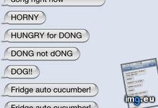 Tags: auto, autocorrect, cucumber, dog, dong, eat, fridge, funny, give, horny, hungry (Pict. in Rehost)