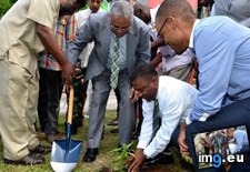 Tags: jamaica, legal, marijuana, plant, planted (Pict. in Alternative-News.tk)
