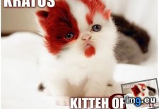 Tags: face, kitteh, meme, war (Pict. in Memes, rage faces and funny images)