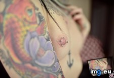 Tags: boobs, emo, girls, hot, kat, kittykat, porn, suicidegirls, tatoo (Pict. in SuicideGirlsNow)