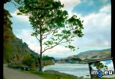 Tags: killarney, lake, lakes, road (Pict. in Branson DeCou Stock Images)