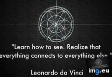 Tags: connects, learn, leonardo, quote, realize, vinci (Pict. in Rehost)