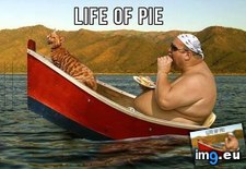 Tags: life, pie (Pict. in Rehost)
