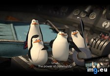 Tags: community, linux, power (Pict. in Rehost)