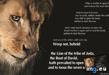 Tags: 1600x1200, david, knowledge, lion (Pict. in Mass Energy Matter)