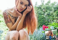 Tags: boobs, emo, girls, hot, lucerne, porn, suicidegirls, summer, tatoo, tits (Pict. in SuicideGirlsNow)
