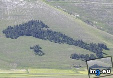 Tags: apennine, arboreal, castelluccio, grove, italy, map, mountains, norcia, pine, sardinia, sicily (Pict. in My r/MAPS favs)