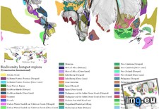 Tags: biodiversity, hotspots, world (Pict. in My r/MAPS favs)