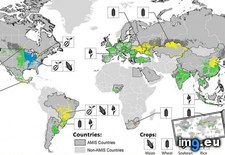Tags: 28th, 808x396, amis, conditions, countries, crop, oct (Pict. in My r/MAPS favs)