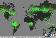Tags: change, earth, forest, google, mapped (Pict. in My r/MAPS favs)