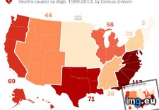 Tags: caused, deaths, dogs, located, south, states, united (Pict. in My r/MAPS favs)