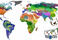 Tags: biomes, families, language, map, overlaid, project, result, thought, was, working (Pict. in My r/MAPS favs)