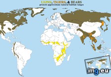 Tags: bears, lions, tigers (Pict. in My r/MAPS favs)